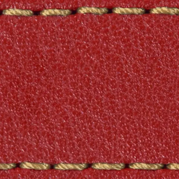 Pasek C1 20mm | Czerwony szkarłatny / Złota nić | Części skórzane bez klamry